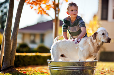 Young boy washing his dog inside a tub in the backyard.
