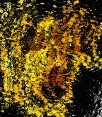 Creative golden graphic painting pattern with oil imitation effect. Luxury background for creating rich design cover, blank, web banner or card. Beautiful cool fractal art. Stock. Gold color artwork.