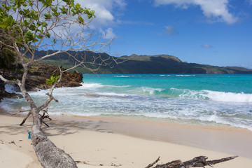 Ricon Beach, Samana Dominican Republic