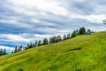 Obraz premium Alpe di Siusi, Seiser Alm with Sassolungo Langkofel Dolomite, a large green field with trees in the background