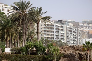 Palmen und Apartments