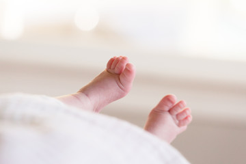 Newborn feet with white blanket.