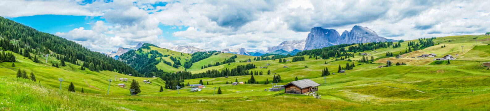 Alpe di Siusi, Seiser Alm with Sassolungo Langkofel Dolomite, a close up of a lush green field in a valley canyon panorama