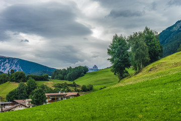 Fototapeta premium Alpe di Siusi, Seiser Alm with Sassolungo Langkofel Dolomite, a large green field with trees in the background