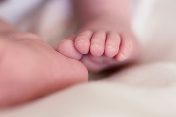 Soft Fresh Newborn Feet