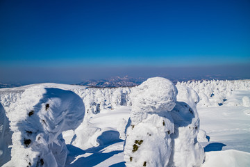 Fototapeta na wymiar Towada Hachimantai National Park Hachimantai　　 Frost-covered trees