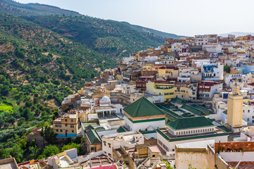 Fototapeta na wymiar Landscape of the sacred town of Moulay Idriss, Morocco