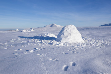 Igloo in a white winter landscape