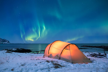 Illuminated tent under a beautiful northern light display on Lofoten islands in Norway