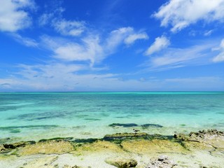 Caribbean sea, Los Roques, Venezuela: vacation on the blue sea and paradisiac beach. Vacation travel. Travel destination. Tropical travel. Great beach scenery. Beautiful landscape.