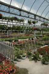 Inside a Greenhouse