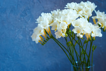 Bouquet of beautiful white freesias on blue background