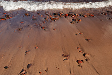 529-41 Red Rock, Sand and Wave