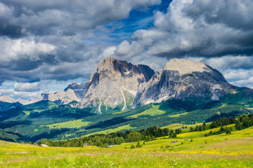 Obraz premium Alpe di Siusi, Seiser Alm with Sassolungo Langkofel Dolomite, a large green field with a mountain in the background