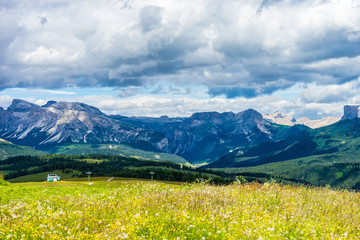 Alpe di Siusi, Seiser Alm with Sassolungo Langkofel Dolomite, a large green field with a mountain in the background
