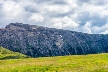 Alpe di Siusi, Seiser Alm with Sassolungo Langkofel Dolomite, a large green field with a mountain in the background