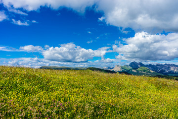 Alpe di Siusi, Seiser Alm with Sassolungo Langkofel Dolomite, a large green field with clouds in the sky