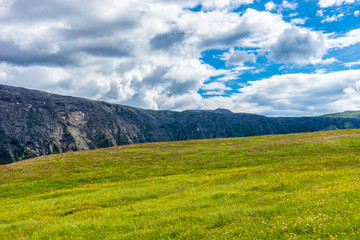 Obraz premium Alpe di Siusi, Seiser Alm with Sassolungo Langkofel Dolomite, a large green field with a mountain in the background