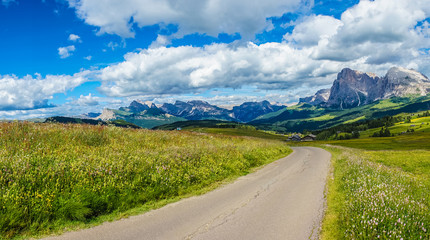 Alpe di Siusi, Seiser Alm with Sassolungo Langkofel Dolomite, a trekking walking winding path in a lush green field