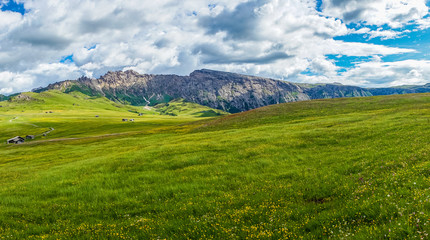 Fototapeta premium Alpe di Siusi, Seiser Alm with Sassolungo Langkofel Dolomite, a large green field with a mountain in the background
