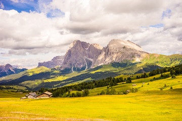 Fototapeta premium Alpe di Siusi, Seiser Alm with Sassolungo Langkofel Dolomite, a large green field with a mountain in the background