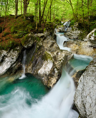 Green forest and emerald water at Lepenica river at Sunikov Vodni Gaj Nature Preserve in Triglav National Park Julian Alps Lepena Valley Slovenia