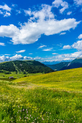 Fototapeta premium Alpe di Siusi, Seiser Alm with Sassolungo Langkofel Dolomite, a large green field with a mountain in the background