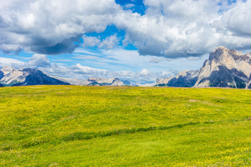 Fototapeta premium Alpe di Siusi, Seiser Alm with Sassolungo Langkofel Dolomite, a field with a mountain in the background