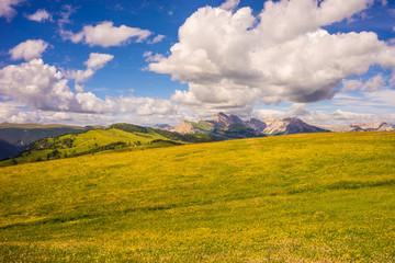 Fototapeta premium Alpe di Siusi, Seiser Alm with Sassolungo Langkofel Dolomite, a large green field with clouds in the sky