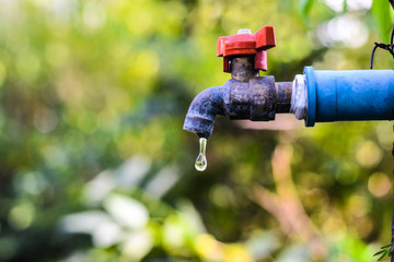 water tap in the garden