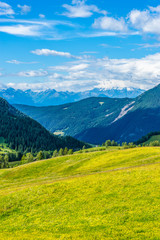 Fototapeta na wymiar Alpe di Siusi, Seiser Alm with Sassolungo Langkofel Dolomite, a field with a mountain in the background