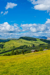 Obraz premium Alpe di Siusi, Seiser Alm with Sassolungo Langkofel Dolomite, a large green field with a mountain in the background