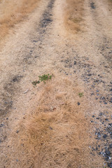 the grass shaped with tire tracks