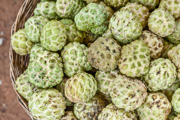 Custard Apples in a Basket