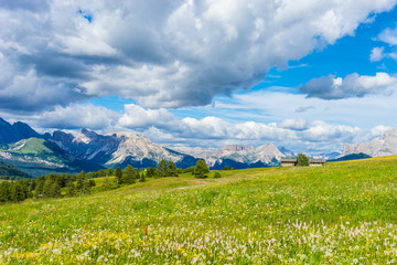 Alpe di Siusi, Seiser Alm with Sassolungo Langkofel Dolomite, a large green field with a mountain in the background