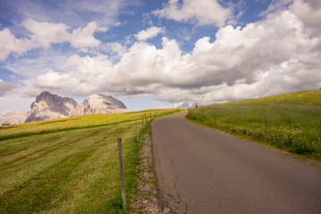 Alpe di Siusi, Seiser Alm with Sassolungo Langkofel Dolomite, a trekking walking winding path in a lush green field