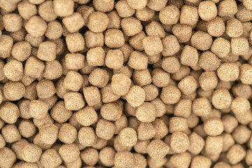 Closeup pellet Fish Feed in industrial feed pellet mill.