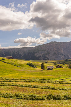 Alpe di Siusi, Seiser Alm with Sassolungo Langkofel Dolomite, a close up of a lush green field in a valley canyon © SkandaRamana