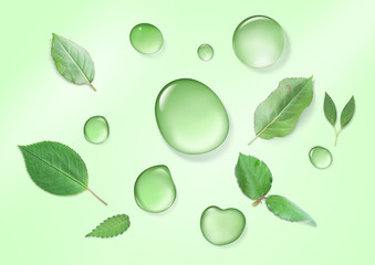 Spring background with water drops and leaves.