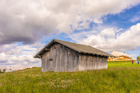 Alpe di Siusi, Seiser Alm with Sassolungo Langkofel Dolomite, an old barn in a field