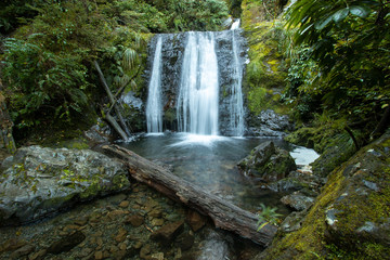 Obraz premium waterfall in the forest