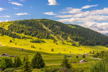 Alpe di Siusi, Seiser Alm with Sassolungo Langkofel Dolomite, a close up of a lush green field in a valley canyon
