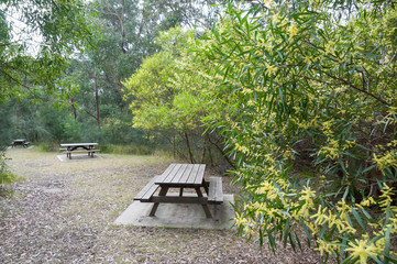 Picnic tables and benches on picnic area in the park