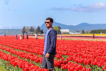 Field of beautiful colorful tulips