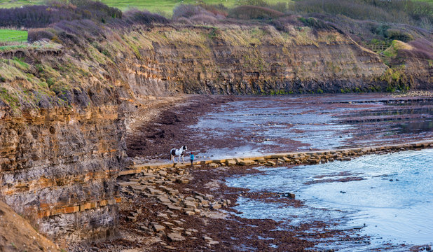 Kimmeridge sunset, rocks and a horse