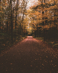 Autumn trails