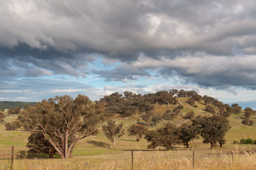 Nature landscape of hill paddock, pasture farmland