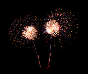 fireworks in the night sky 3