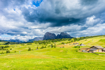 Fototapeta na wymiar Alpe di Siusi, Seiser Alm with Sassolungo Langkofel Dolomite, a close up of a lush green field in a valley canyon