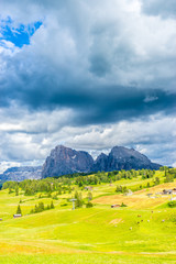 Alpe di Siusi, Seiser Alm with Sassolungo Langkofel Dolomite, a large green field with a mountain in the background